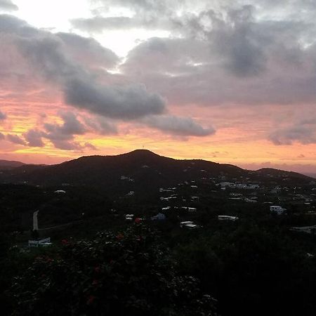 クリスチャンステッド Caribbean Splendor With Million Dollar Viewsヴィラ エクステリア 写真