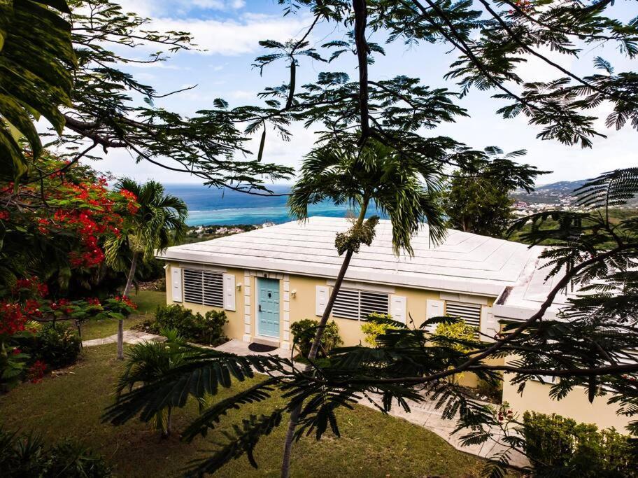 クリスチャンステッド Caribbean Splendor With Million Dollar Viewsヴィラ エクステリア 写真